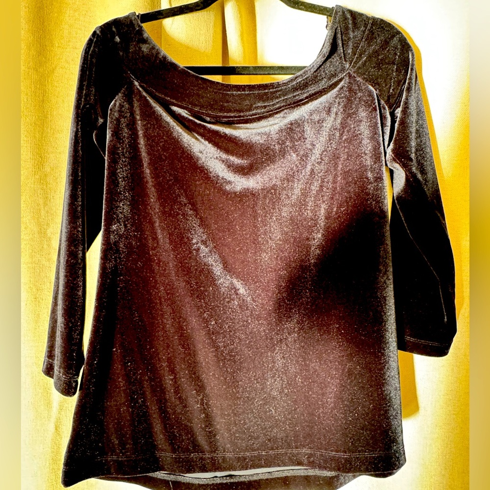 Ann Taylor Velvet Top